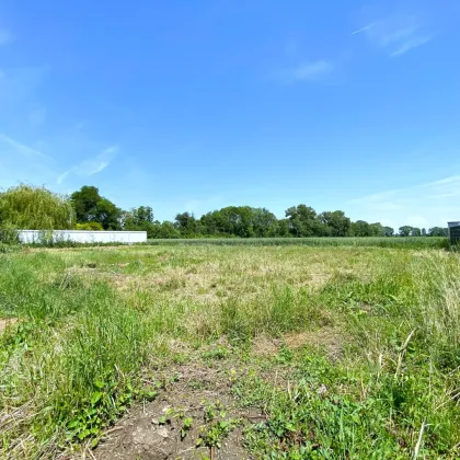 Perfekt für Häuslbauer und als Anlage: Baugrundstück I Grünruhelage I unverbautes Gegenüber I Kein Bauzwang! - Bild 2