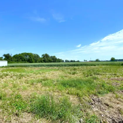 Perfekt für Häuslbauer und als Anlage: Baugrundstück I Grünruhelage I unverbautes Gegenüber I Kein Bauzwang! - Bild 3