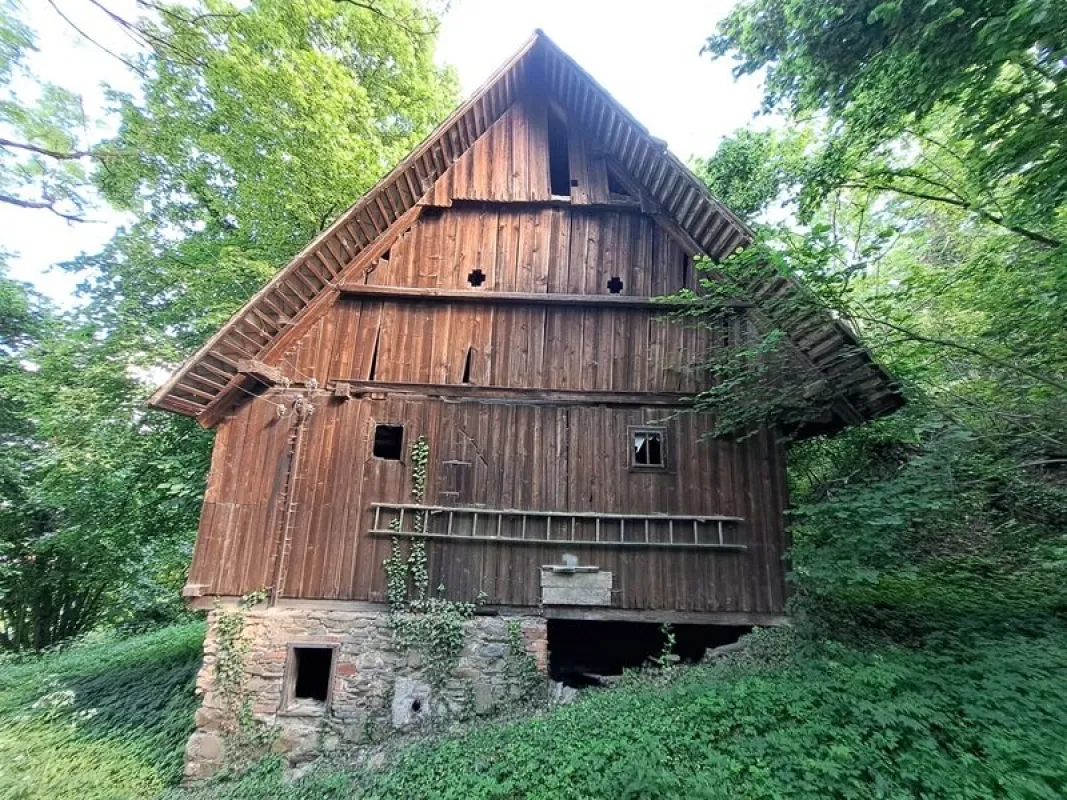 Naturliebhaber aufgepasst: Landwirtschaftliche Hofstelle möchte wieder wachgeküsst werden - Bild 1