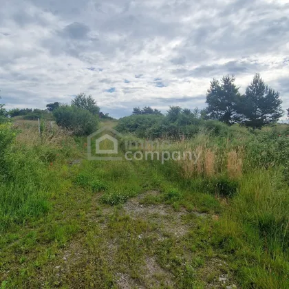 Traumhafter Grund mit Teilwidmung Reitplatz/Reitanlage - 7250 m² um nur 80.000 €! - Bild 3