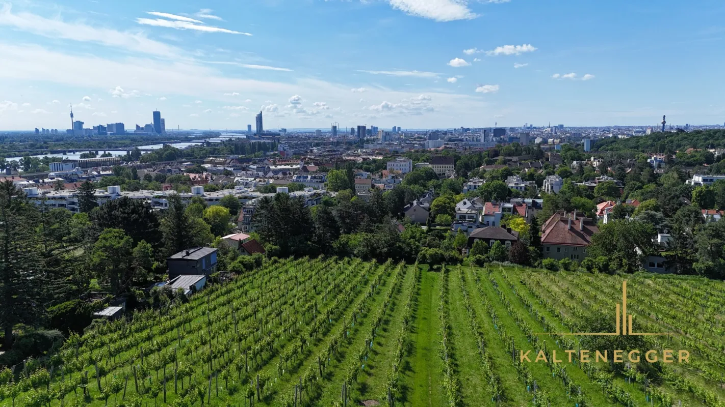 Baugenehmigtes Grundstück am Döblinger Nussberg - Bild 1