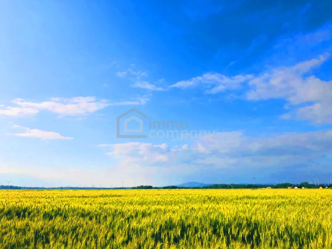 Landwirtschaftliche Nutzfläche in Ideallage - Bild 1