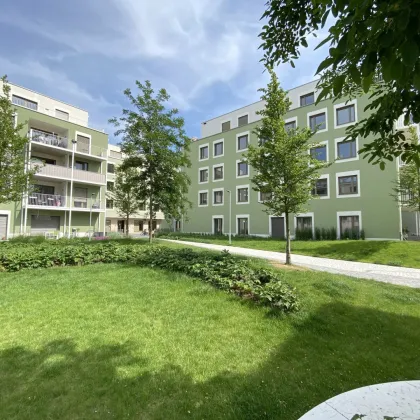 Ihr Wohnglück wartet: Moderne Mietwohnungen im Tullnerfeld - Bild 3