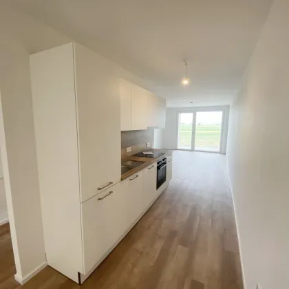 Lebensqualität im Grünen: Moderne Mietwohnungen mit Top-Ausstattung - Bild 2