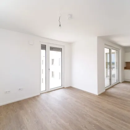 Ihr Wohnglück wartet: Moderne Mietwohnungen im Tullnerfeld - Bild 3