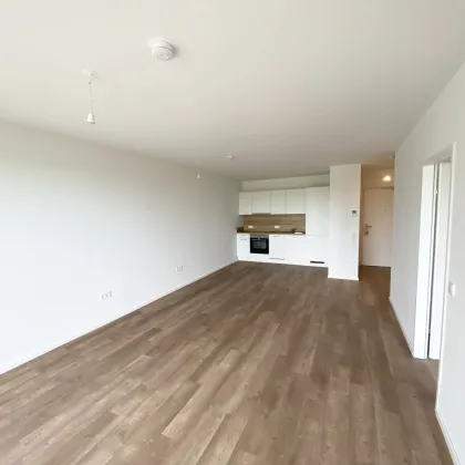 Modern Wohnen im Grünen: Ihr neues Zuhause im Herzen des Tullnerfelds - Bild 3