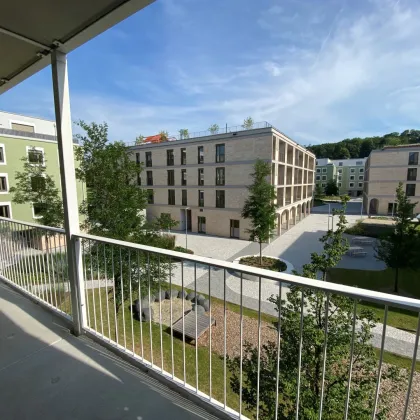Familienfreundliches Wohnen im Grünen: Ihr neues Heim im Tullnerfeld - Bild 2