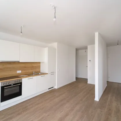 Moderne Mietwohnungen in der Natur: Ihr neues Zuhause im Tullnerfeld - Bild 2