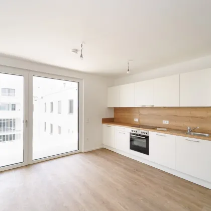 Moderne Mietwohnungen in der Natur: Ihr neues Zuhause im Tullnerfeld - Bild 3