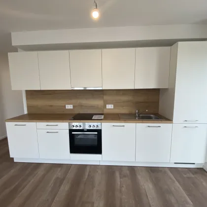 Wohnen im Tullnerfeld: Mietwohnungen mit exzellenter Infrastruktur - Bild 2