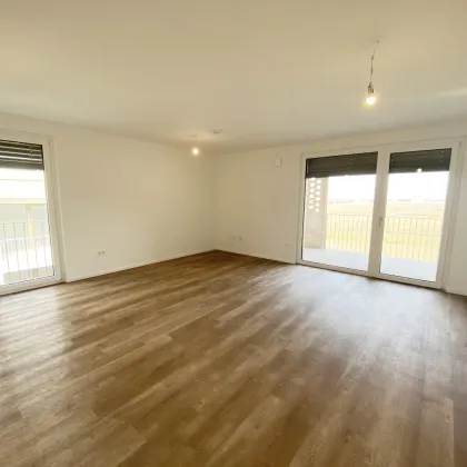 Wohnen im Tullnerfeld: Mietwohnungen mit exzellenter Infrastruktur - Bild 3