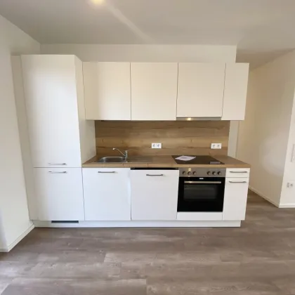 Familienfreundliches Wohnen im Grünen: Ihr neues Heim im Tullnerfeld - Bild 2