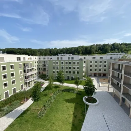Willkommen in Ihrer neuen Wohnoase: Moderne Mietwohnungen in idyllischer Lage - Bild 3
