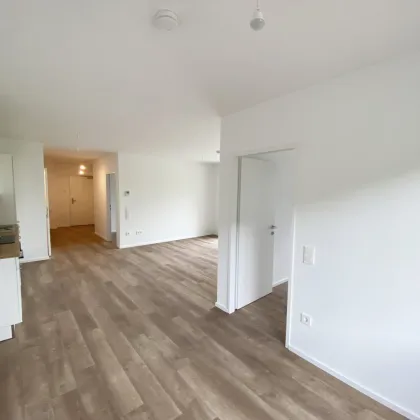 Ihr Wohnglück wartet: Moderne Mietwohnungen im Tullnerfeld - Bild 2