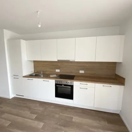 Wohnen im Tullnerfeld: Moderne Mietwohnungen mit exzellenter Infrastruktur - Bild 2