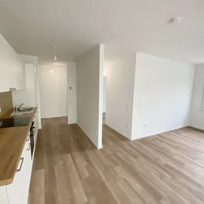 Modern Wohnen im Grünen: Ihr neues Zuhause im Herzen des Tullnerfelds - Bild 3