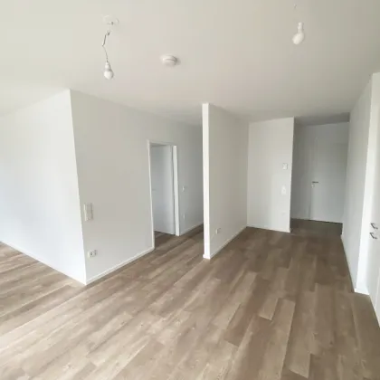 Familienfreundliches Wohnen im Grünen: Ihr neues Heim im Tullnerfeld - Bild 3