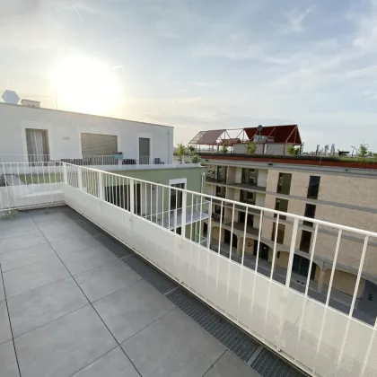 Wohnen im Tullnerfeld: Moderne Mietwohnungen mit exzellenter Infrastruktur - Bild 2