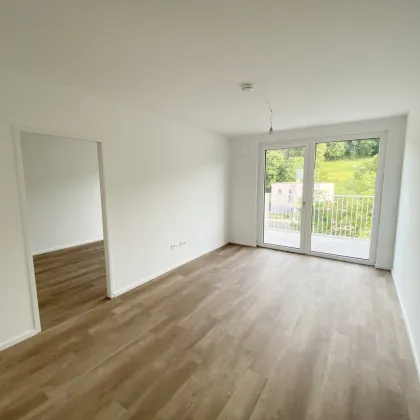 Wohnen im Tullnerfeld: Moderne Mietwohnungen mit exzellenter Infrastruktur - Bild 3