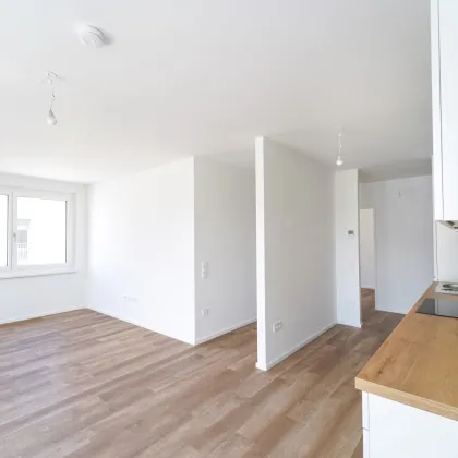 Moderne Mietwohnungen! Entdecken Sie Ihre neue Wohnoase im Herzen des Tullnerfelds! - Bild 3