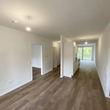 Familienfreundliches Wohnen im Grünen: Ihr neues Heim im Tullnerfeld - Bild 2