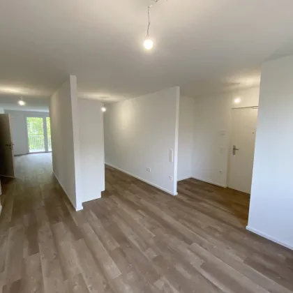 Familienfreundliches Wohnen im Grünen: Ihr neues Heim im Tullnerfeld - Bild 3