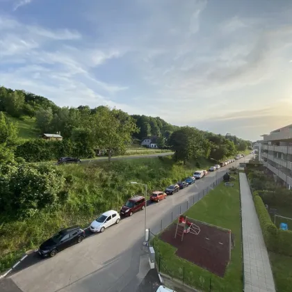 Wohnen ohne Kompromisse: Moderne Mietwohnungen im Herzen des Tullnerfelds - Bild 3