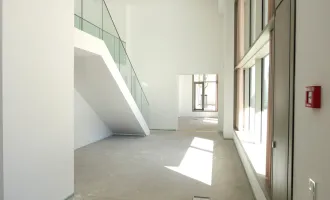 Geschäftslokal / Büro für kreative Köpfe - Erstbezug - nahe Altstadt