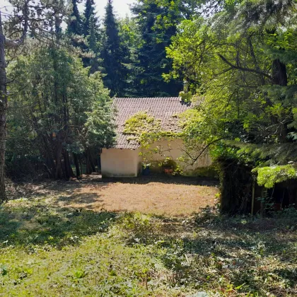 Großzügiges Baugrundstück mit Abbruchhaus und Grünlandanteil im Irenental - Bild 2
