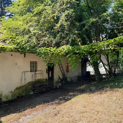 Großzügiges Baugrundstück mit Abbruchhaus und Grünlandanteil im Irenental - Bild 3