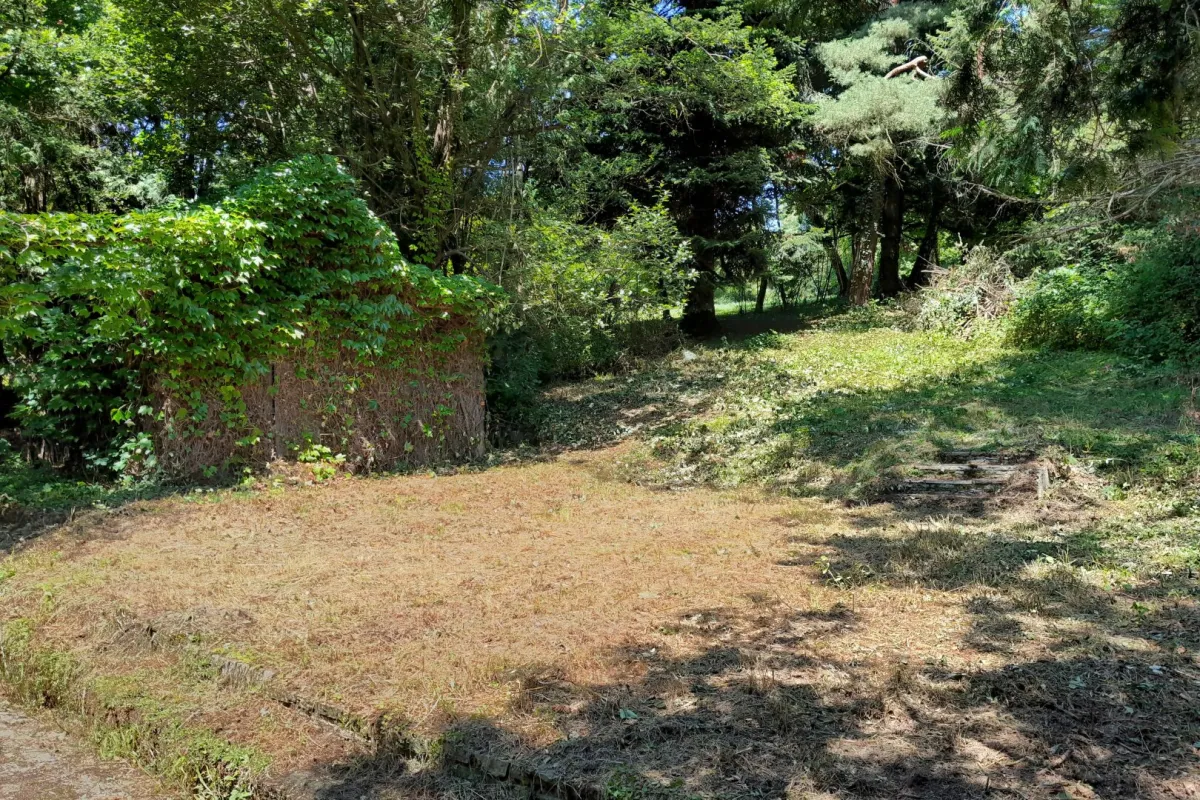 Großzügiges Baugrundstück mit Abbruchhaus und Grünlandanteil im Irenental - Bild 1