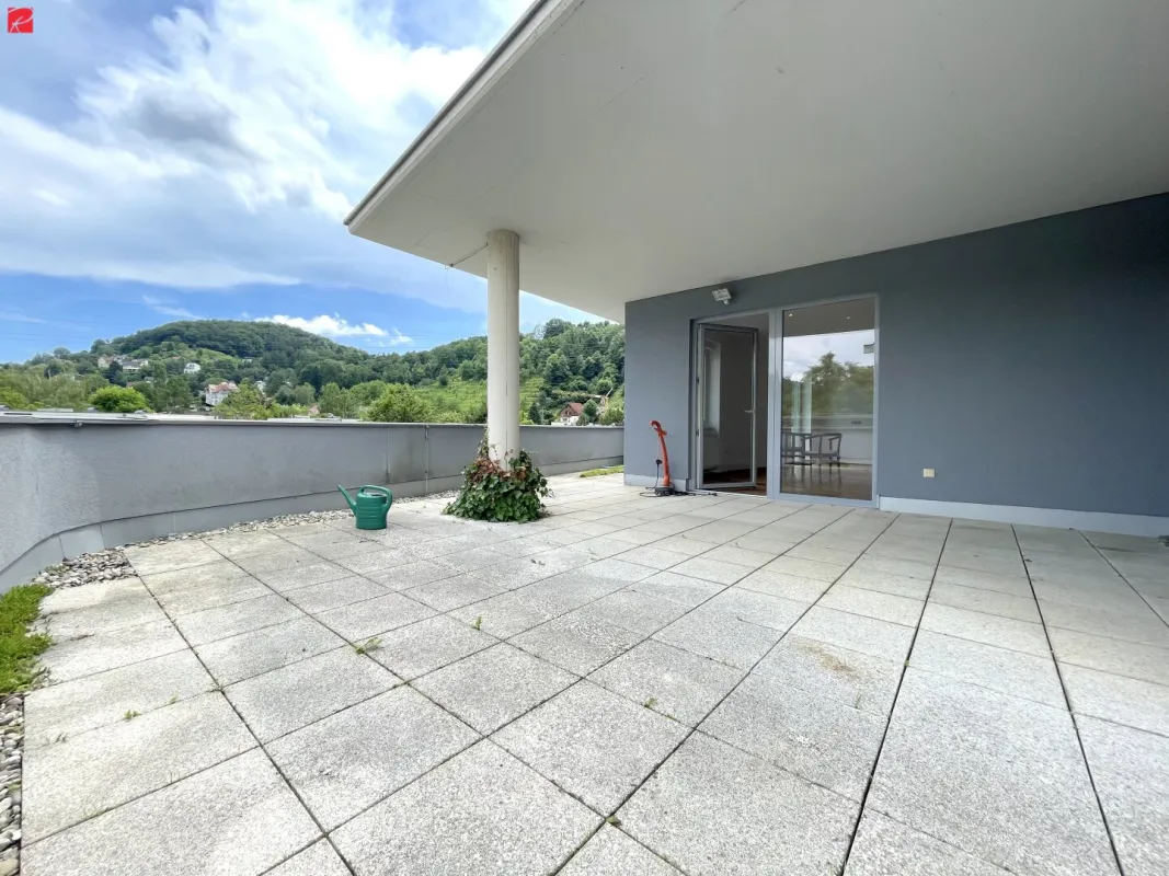 Singlehit mit großzügiger Terrasse und Dachgarten - Bild 1