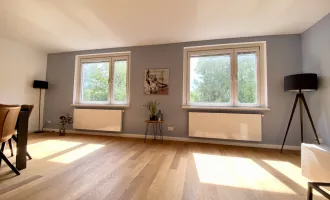 Singlehit: Renovierte 2,5 Zimmer Wohnung mit großem Wohnzimmer, neuer Küche und Grünblick, Büro/Ankleidezimmer