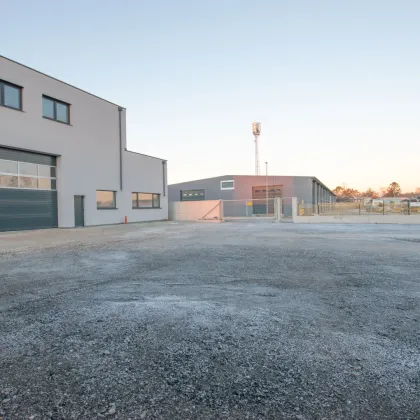 Geräumige und flexible Lagerhalle mit hoher Nutzfläche in Ebreichsdorf (Unterwaltersdorf - 2442) - Bild 3