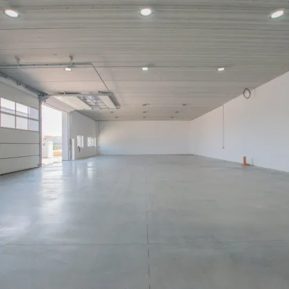 Geräumige und flexible Lagerhalle mit hoher Nutzfläche in Ebreichsdorf (Unterwaltersdorf - 2442) - Bild 2