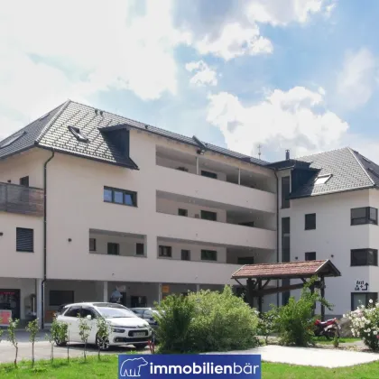 Investorenpaket - 4 Top vermietete Anlegerwohnung + 1 Geschäftslokal - Bild 3