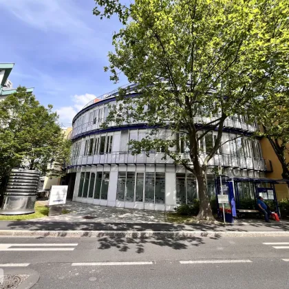 Top ausgestattetes Büro mit viel Platz, nahe dem Mödlinger Stadtzentrum - Bild 3