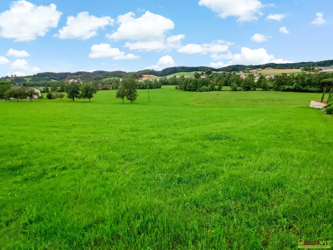 Naturnahes Wohnbau-Grundstück zwischen Mattighofen und Ried. - Ihr Platz für ein Traumhaus. - Bild 1