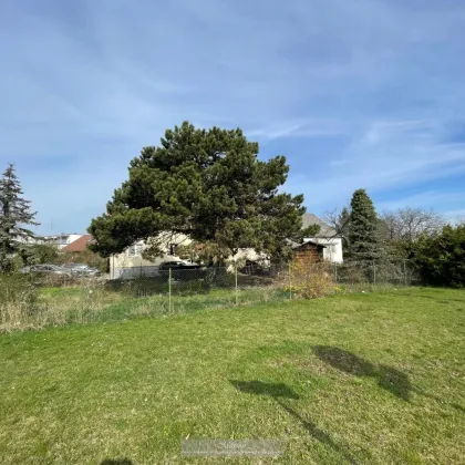 BAUGRUND MIT ALTBESTAND - 2 DOPPELHÄUSER MÖGLICH - Bild 2