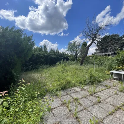 BAUGRUND MIT ALTBESTAND - 2 DOPPELHÄUSER MÖGLICH - Bild 3