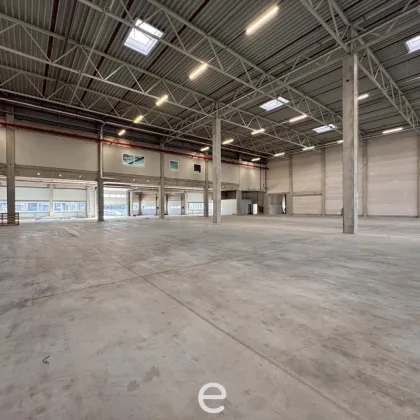 NEUBAU  - Produktions / Lagerhalle mit Büroflächen in Enns/Ennshafen zu vermieten – individuell und zukunftsorientiert - Bild 2