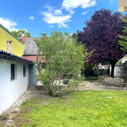 Ausbaufähiges Haus mit uneinsichtigem Garten - Bild 2