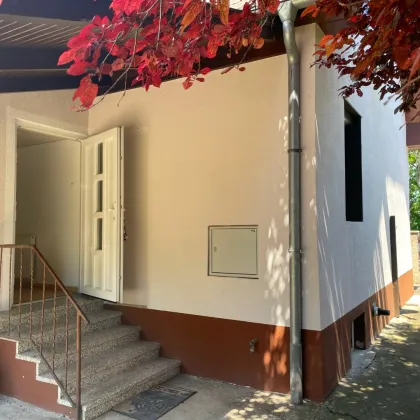 Ausbaufähiges Haus mit uneinsichtigem Garten - Bild 3