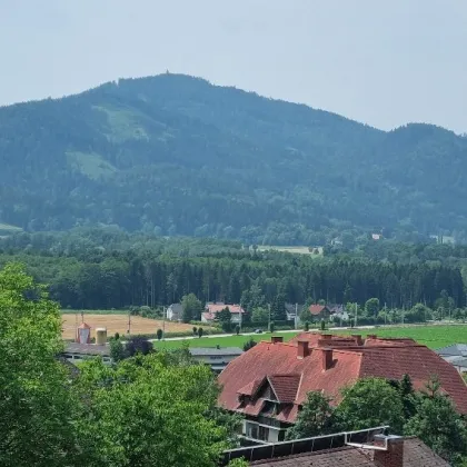BAUGRUND MIT HERRLICHER, UNVERBAUBARER AUSSICHT AUF HOCHOSTERWITZ! - Bild 3