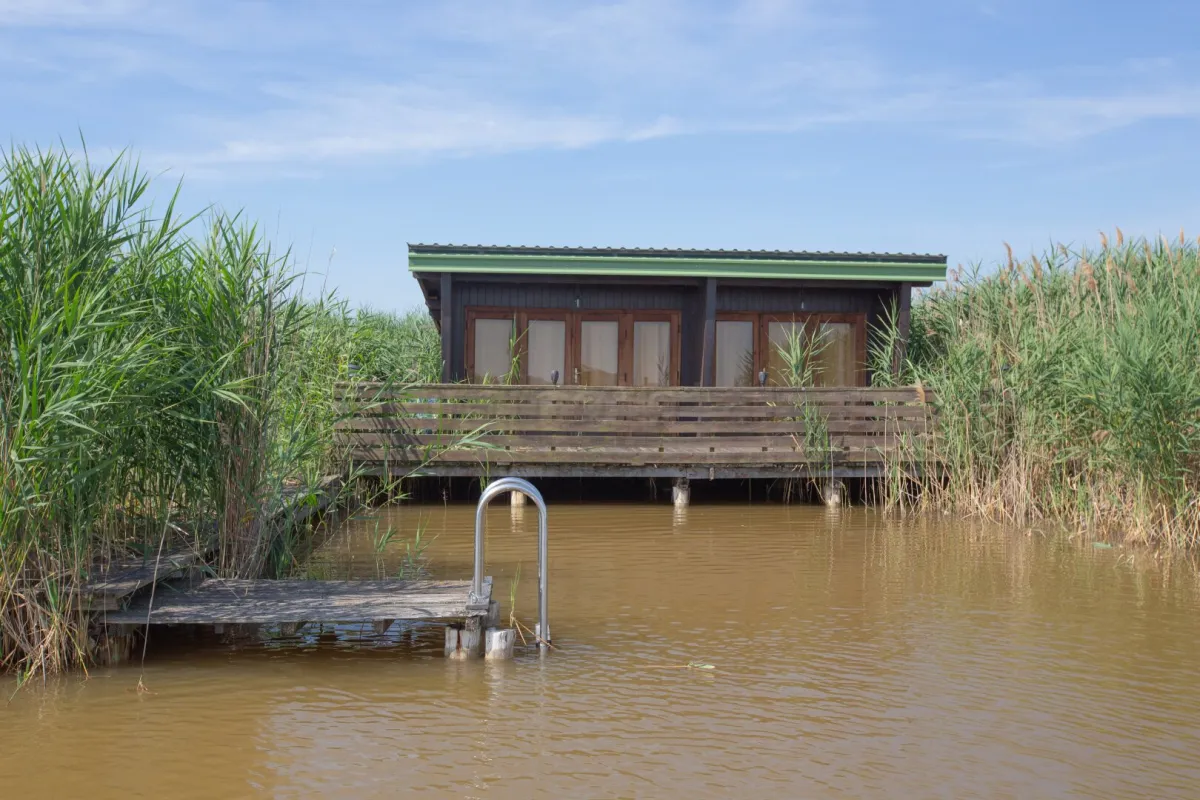 Flachdach-Seehütte in ruhiger Lage der Ruster Südbucht - Bild 1