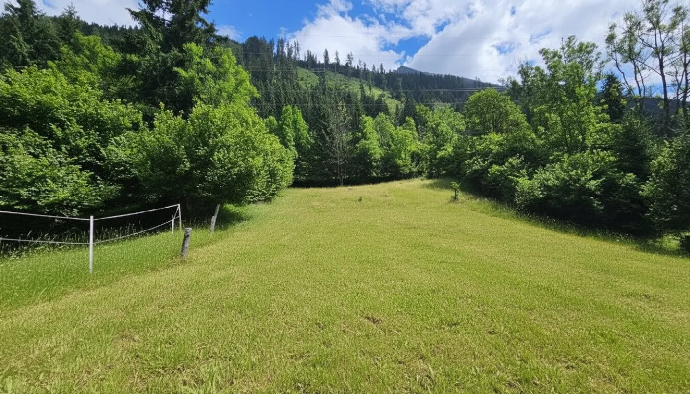 Traumhaftes Baugrundstück in idyllischer Lage nahe Flattach, Kärnten - nur 199.000,00 €! - Bild 1