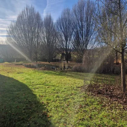 Baugrund oder Erholungsoase - Wels Land - bis zu 3 Wohneinheiten möglich! - Bild 3