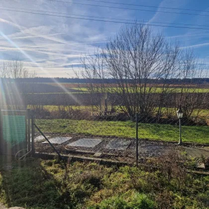Baugrund oder Erholungsoase - Wels Land - bis zu 3 Wohneinheiten möglich! - Bild 2