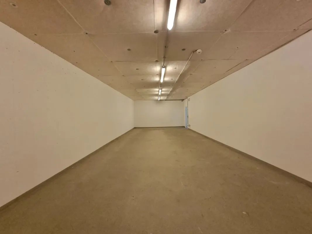 Vielseitiger Kellerraum: Ideale Lagerfläche für Storage, Hobby, Handwerk und Gewerbe - Bild 1
