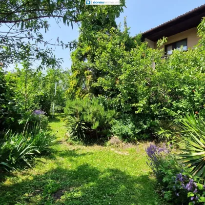 Ein- oder Zweifamilienhaus mit viel Potential in 2345 Brunn am Gebirge - Bild 2